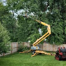 Best Leaf Removal  in Red Corral, CA